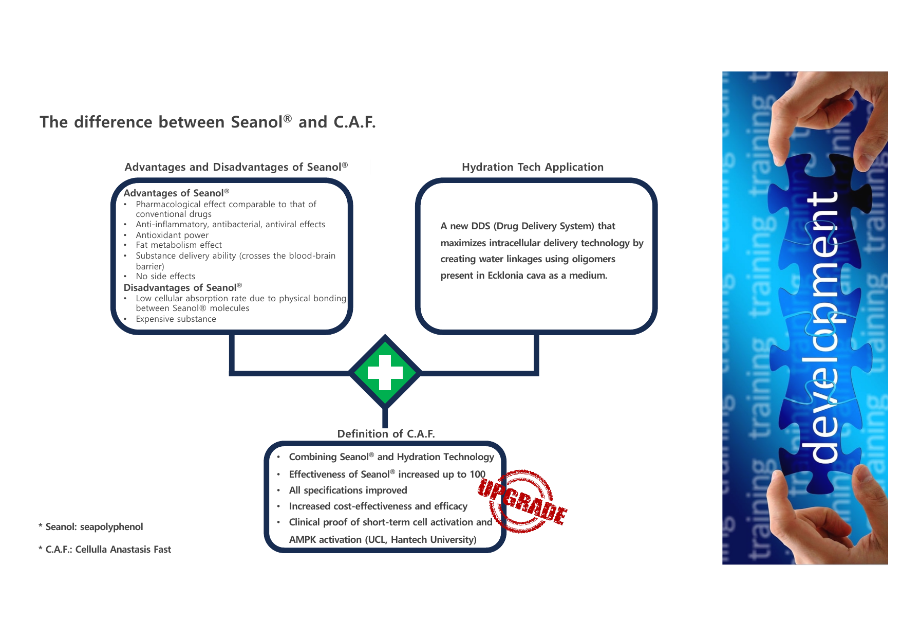 JP3E K-Longevity page 4