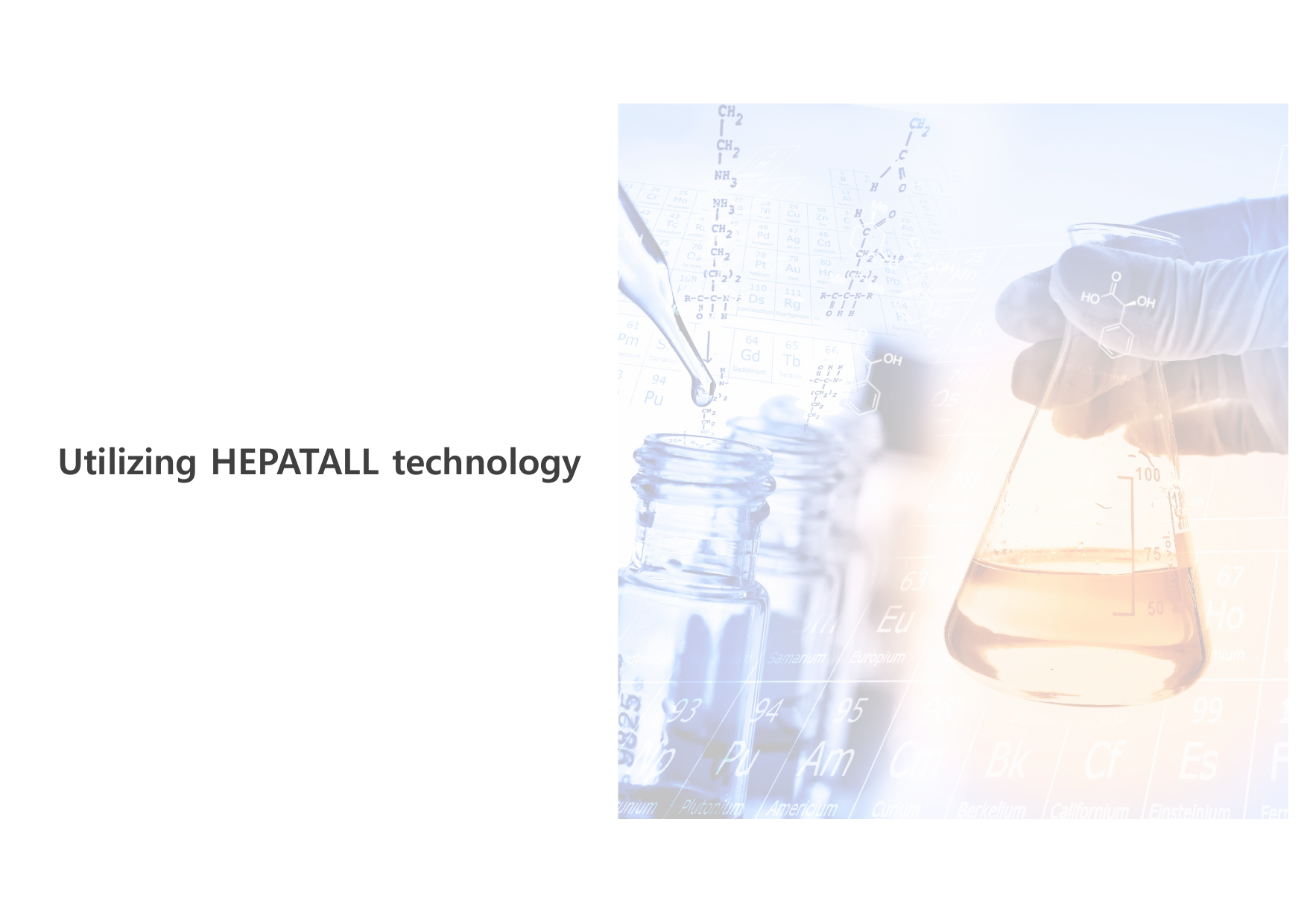 JP3E K-Longevity page 11