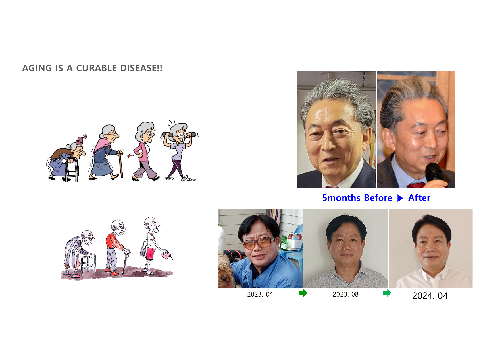 JP3E K-Longevity page 17