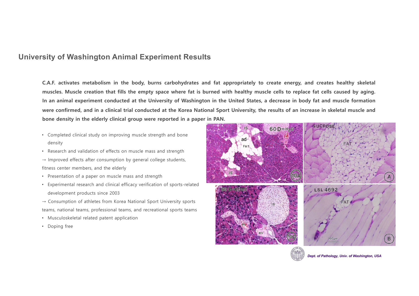 JP3E K-Longevity page 25